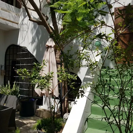 Luxuriously Renovated فيلة *
