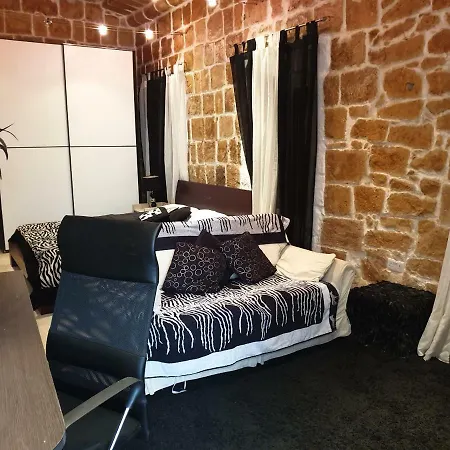 Luxuriously Renovated 别墅 *